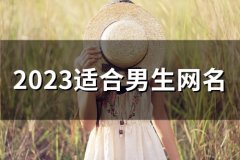 2023适合男生网名(277个)