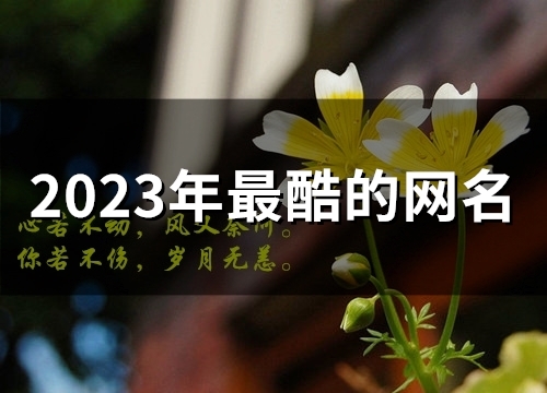 2023年最酷的网名(精选215个)
