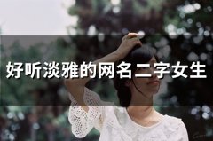 好听淡雅的网名二字女生(807个)