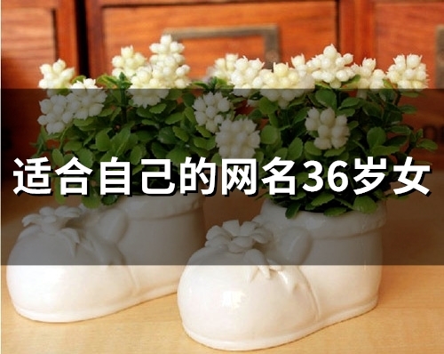 适合自己的网名36岁女(精选80个)