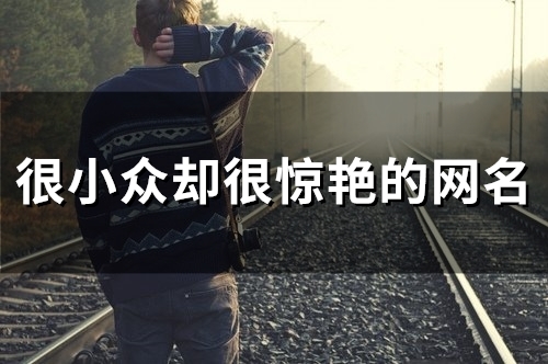 很小众却很惊艳的网名(80个)