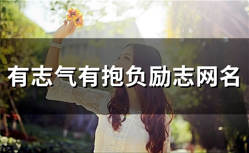 有志气有抱负励志网名(精选119个)