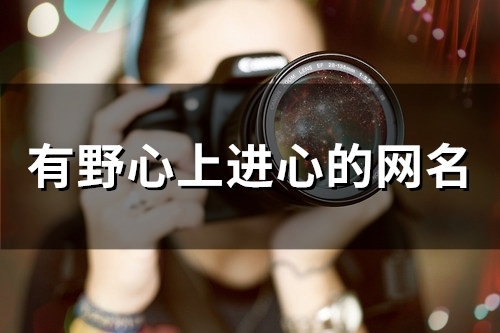 有野心上进心的网名(精选117个) 有野心上进心的网名(精选117个)