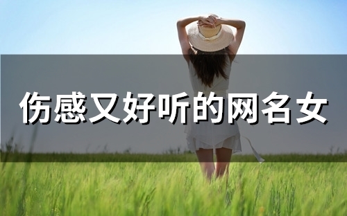 伤感又好听的网名女(120个)
