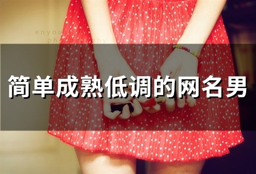 简单成熟低调的网名男(275个)