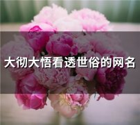 大彻大悟看透世俗的网名(精选109个)