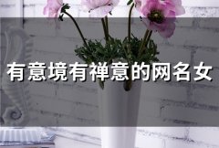 有意境有禅意的网名女(80个)