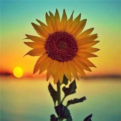 2023微信头像图片新款女(24张)