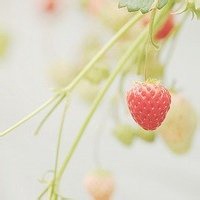 微信头像70后女人专用(精选26张)