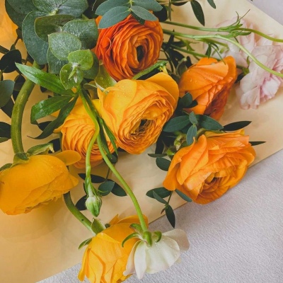 40岁女人头像有气质风景(51张)