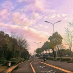 40岁女人头像有气质风景(51张)