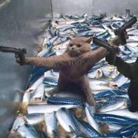 40岁女人头像有气质风景(51张)