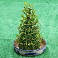 40岁女人头像有气质风景(51张)