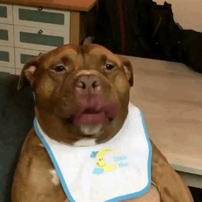 好看独特的微信头像简单(22张)