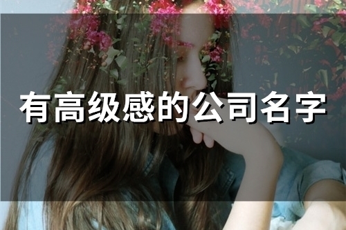 有高级感的公司名字(261个)