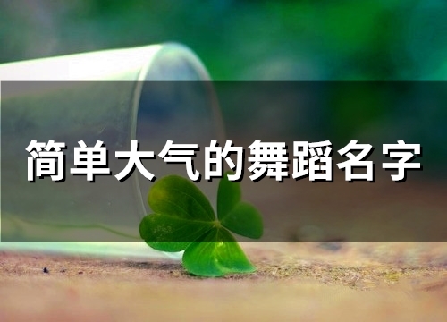 简单大气的舞蹈名字(242个) 简单大气的舞蹈名字(242个)