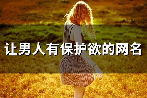 让男人有保护欲的网名(116个)