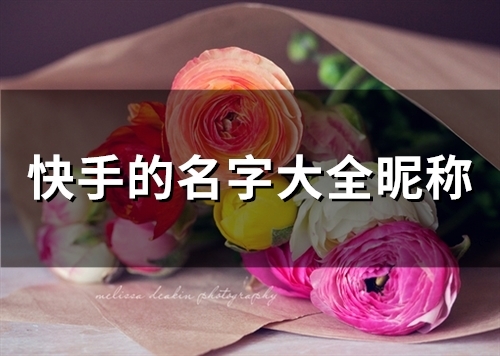 快手的名字大全昵称(331个) 快手的名字大全昵称(331个)