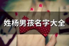 姓杨男孩名字大全(精选47个)