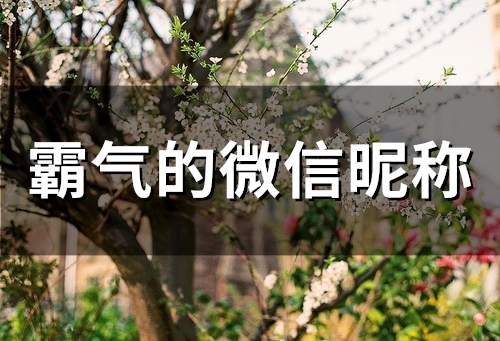 霸气的微信昵称(113个) 霸气的微信昵称(113个)