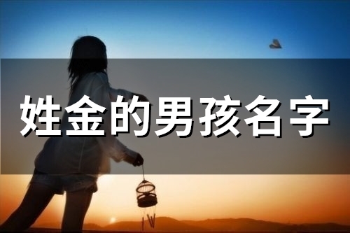 姓金的男孩名字(25个) 姓金的男孩名字(25个)