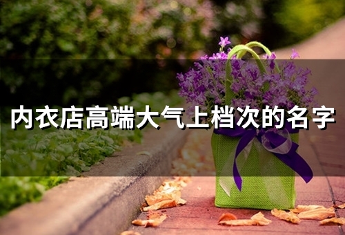 内衣店高端大气上档次的名字(精选80个)