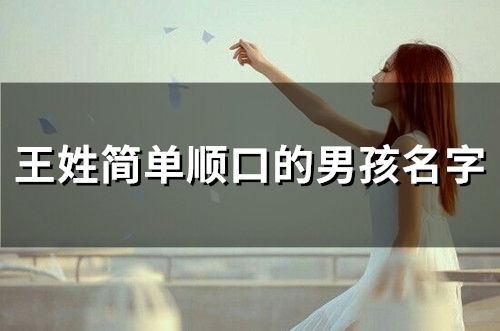 王姓简单顺口的男孩名字(80个) 王姓简单顺口的男孩名字(80个)
