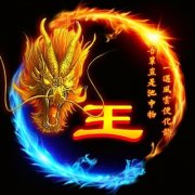 2023年王姓微信头像图片大全(22张)