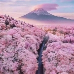 2023男人带好运最火头像风景(58张)