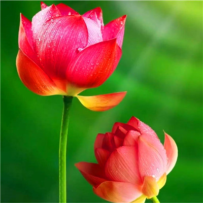 2023男人带好运最火头像风景(58张)