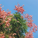 2023男人带好运最火头像风景(58张)