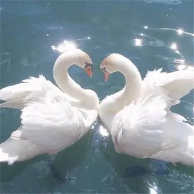 2023好运头像适合女士的(精选26张)