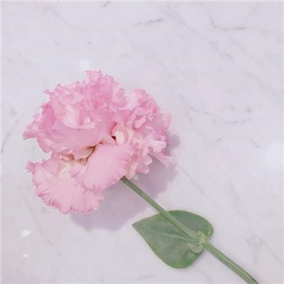 女人旺财又健康的头像2023年(精选34张)