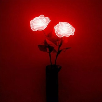 女人旺财又健康的头像2023年(精选34张)