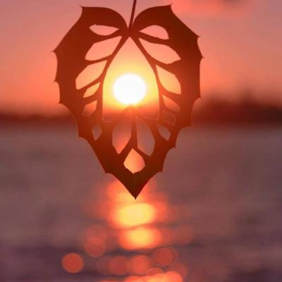 女人旺财又健康的头像2023年(精选34张)