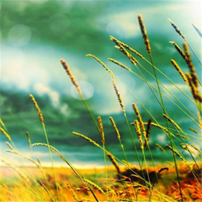 女人旺财又健康的头像2023年(精选34张)