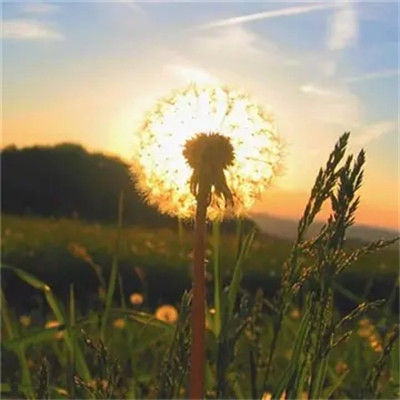 女人旺财又健康的头像2023年(精选34张)