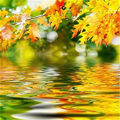 顶级微信风水头像推荐(精选36张)