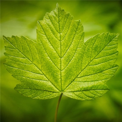 顶级微信风水头像推荐(精选36张)