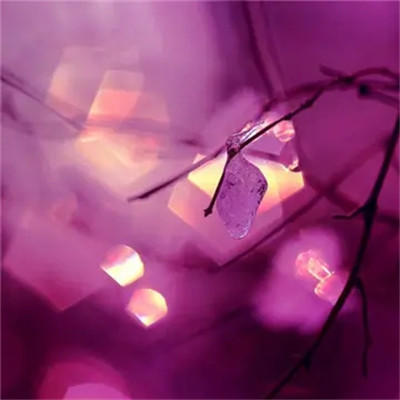 2023年自带好运头像女(精选32张)