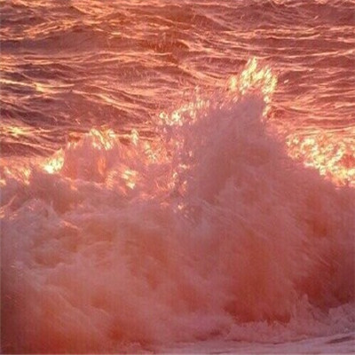 2023年自带好运头像女(精选32张)