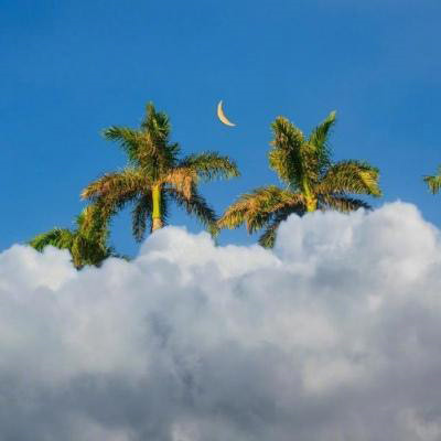 2023年自带好运头像女(精选32张)