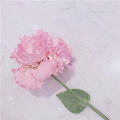 给女人带来好运的头像2023(34张)