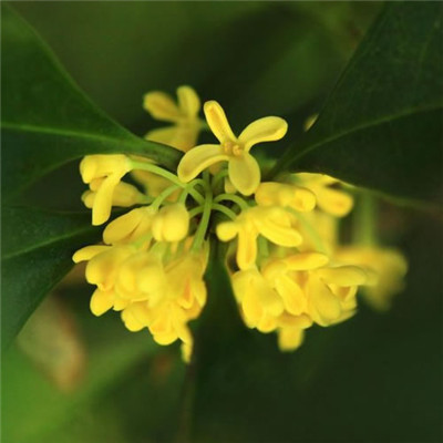 给女人带来好运的头像2023(34张)