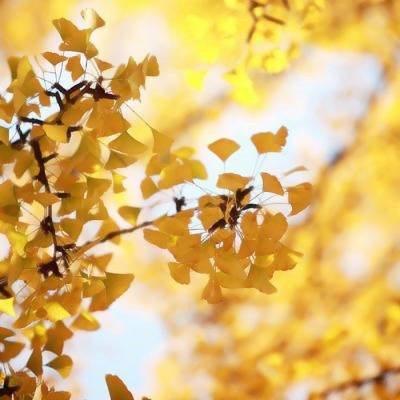 给女人带来好运的头像2023(34张)