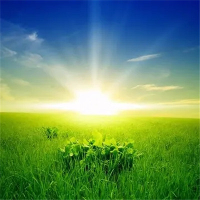 给女人带来好运的头像2023(34张)