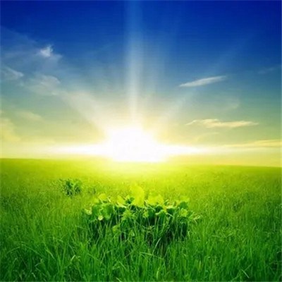 2023年给女人带来好运的头像(精选34张)