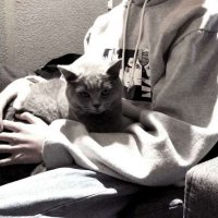 成熟男士专用抖音头像(37张)