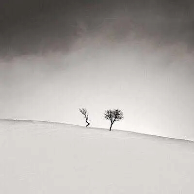 高端有品位的微信头像(26张)