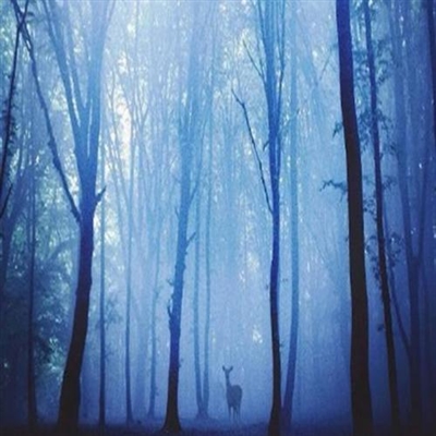 永久不换冷门的头像(精选26张)